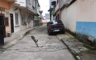 SUSPENSIÓN DE SERVICIO A USUARIO, HASTA QUE LEGALICE SU ACOMETIDA.