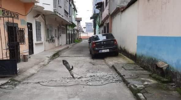 SUSPENSIÓN DE SERVICIO A USUARIO, HASTA QUE LEGALICE SU ACOMETIDA.