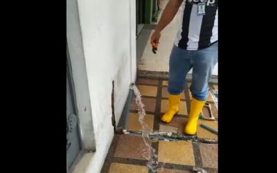 SEGUIMOS REALIZANDO LAS LIMPIEZAS Y MANTENIMIENTO DE LAS GUÍAS DOMICILIARIAS.