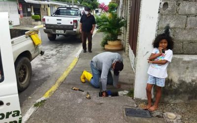 CONTINUAMOS REALIZANDO LIMPIEZA Y MANTENIMIENTO DE GUÍAS DOMICILIARIAS.