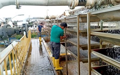 MANTENIMIENTO A LA PLANTA CENTRAL