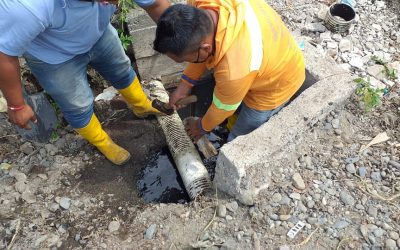 SE REALIZA MANTENIMIENTO DE ALCANTARILLADO SANITARIO EN SAN CARLOS
